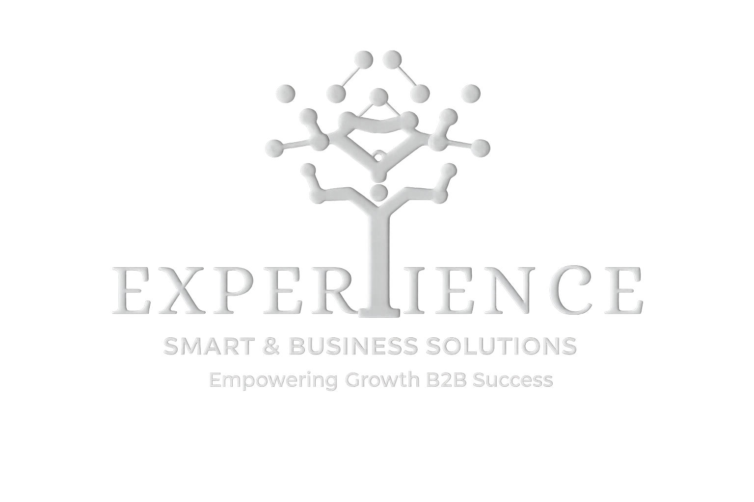 EXPERIENCE SMART BUSINESS SOLUTIONS